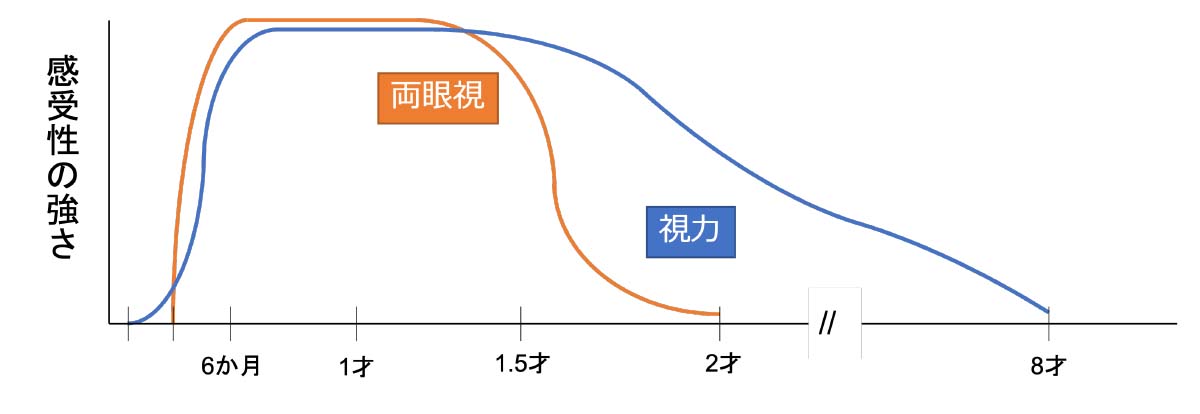 小児眼科 - 小沢眼科神栖診療所 | 日帰り白内障・硝子体手術